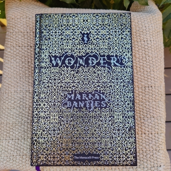 I Wonder by Marian Bantjes HARDCOVER BOOK - Picture 1 of 6